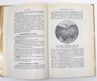 The Eczemas: A Symposium by Ten Authors