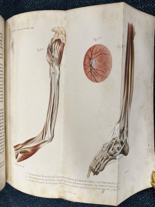 De l&rsquo;&Eacute;lectrisation Localis&eacute;e et de son Application &agrave; la Pathologie et &agrave; la Th&eacute;rapeutique