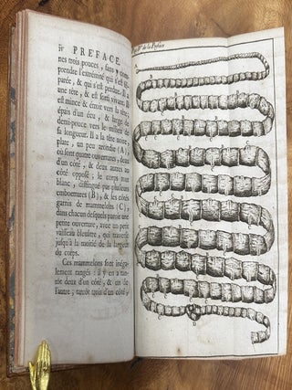 De la g&eacute;n&eacute;ration des vers dans le corps de l&rsquo;homme, de la nature et des esp&egrave;ces de cette maladie; des moyens de s&rsquo;en pr&eacute;server et de la gu&eacute;rir
