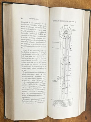 The Nervous System and its Constituent Neurones: Designed for the Use of Practitioners of Medicine and of Students of Medicine and Psychology
