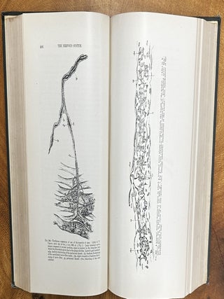 The Nervous System and its Constituent Neurones: Designed for the Use of Practitioners of Medicine and of Students of Medicine and Psychology
