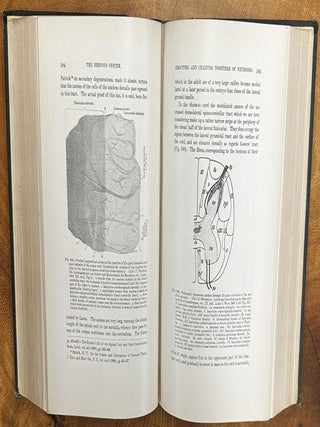 The Nervous System and its Constituent Neurones: Designed for the Use of Practitioners of Medicine and of Students of Medicine and Psychology