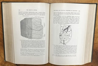The Nervous System and its Constituent Neurones: Designed for the Use of Practitioners of Medicine and of Students of Medicine and Psychology