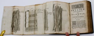Physica, Sive de Rebus Corporeis Libri III. Priores. Operum Philosophicorum Tomus III