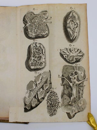 Exercitationes Anatomicae Duae de Structura et Usu Renum