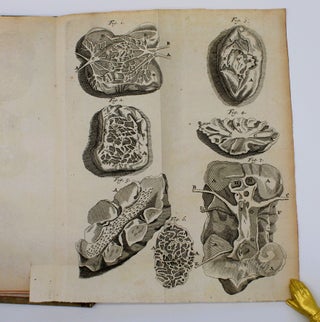Exercitationes Anatomicae Duae de Structura et Usu Renum
