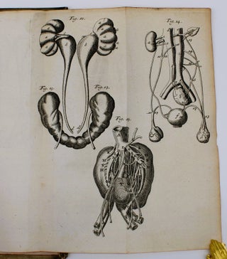 Exercitationes Anatomicae Duae de Structura et Usu Renum