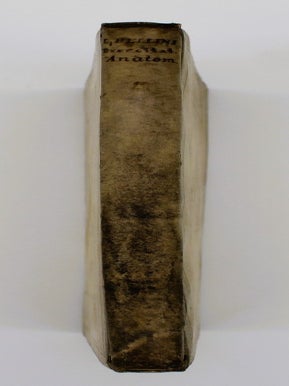 Exercitationes Anatomicae Duae de Structura et Usu Renum