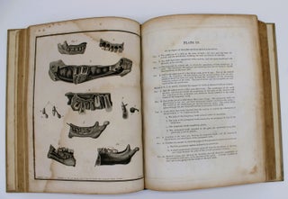The Natural History of the Human Teeth