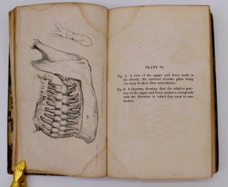The Anatomy, Physiology, and Diseases of the Teeth